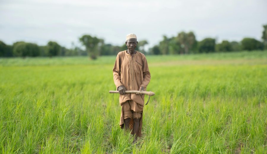 Africa’s Youth Farmers Innovate Amid Iran Fertilizer Crisis