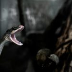 Mamba 3 Challenges AI Ethics: Unanswered Questions