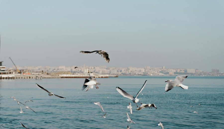 Iran war could trigger global food crisis via fertilizer crunch