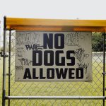 AI Copyright U-Turn: Legal Limbo for Creators