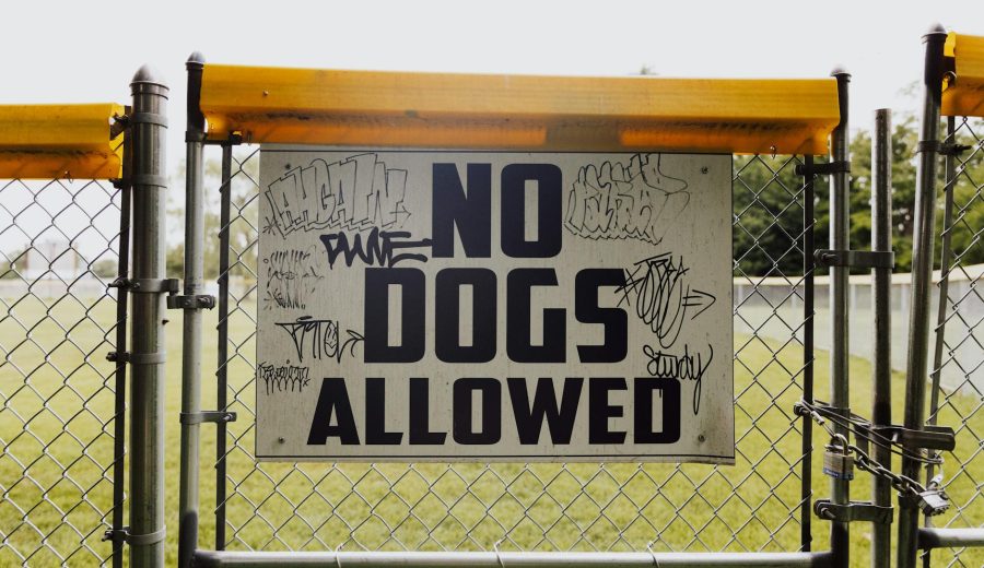 AI Copyright U-Turn: Legal Limbo for Creators