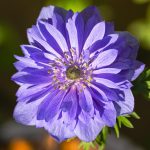 Gov’t AI Copyright U-turn Leaves Music Industry in Limbo