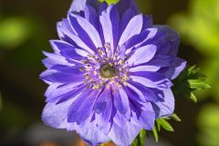 Gov’t AI Copyright U-turn Leaves Music Industry in Limbo