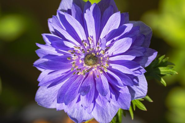 Gov’t AI Copyright U-turn Leaves Music Industry in Limbo