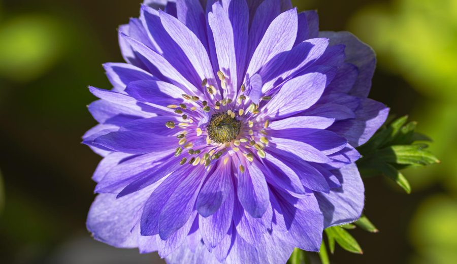 Gov’t AI Copyright U-turn Leaves Music Industry in Limbo